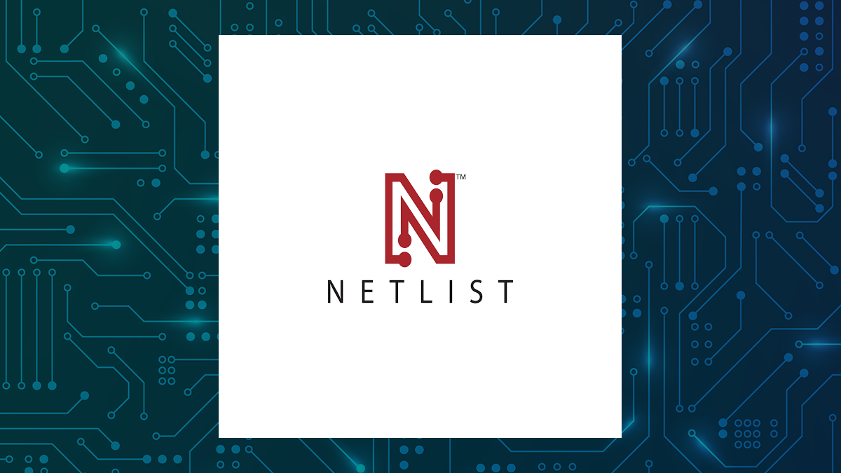 Netlist logo