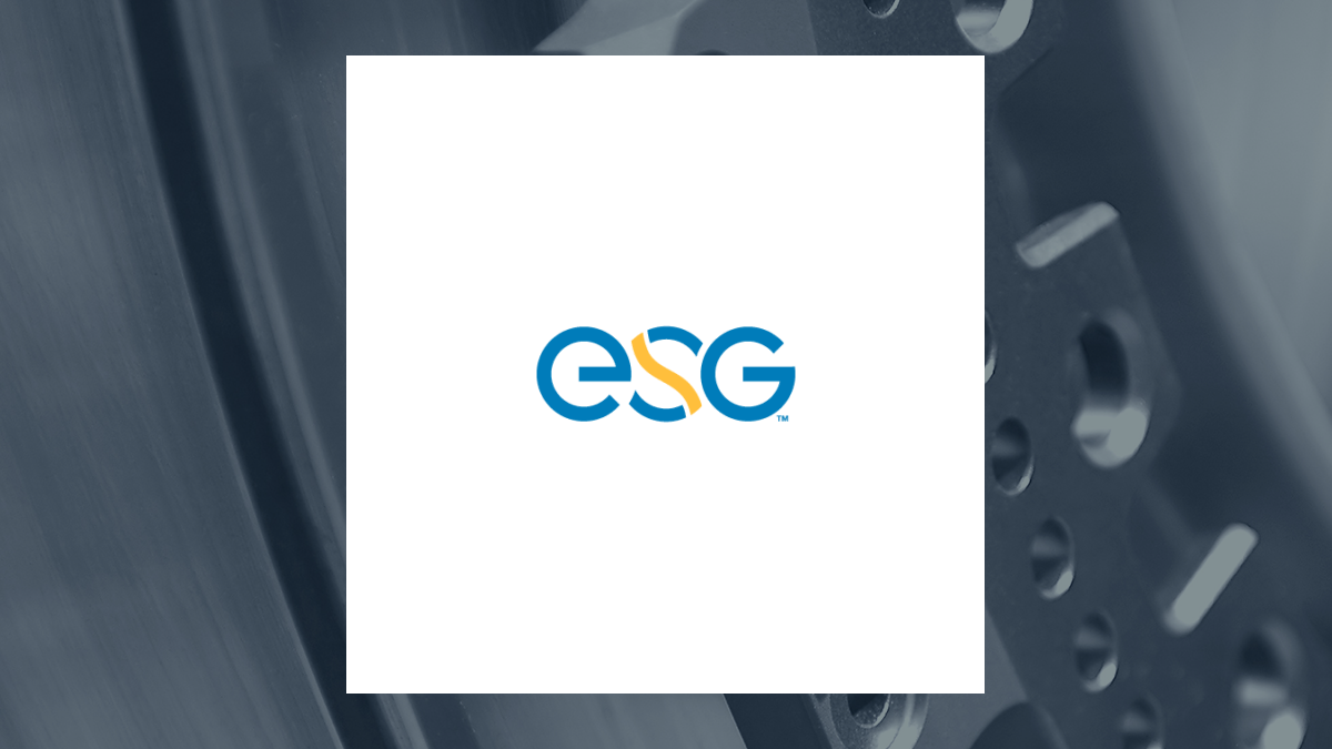 New Energy Systems Group. logo