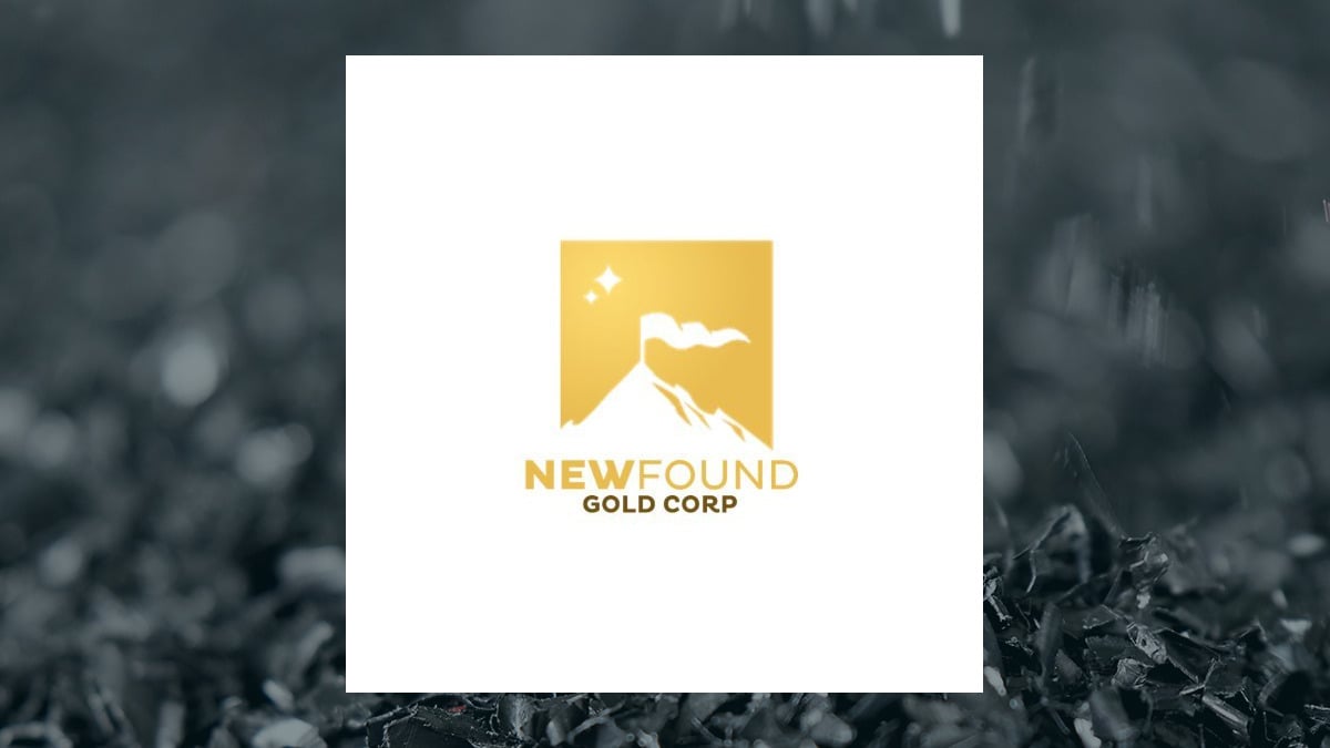 New Found Gold logo