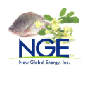 New Global Energy logo