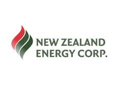 New Zealand Energy logo