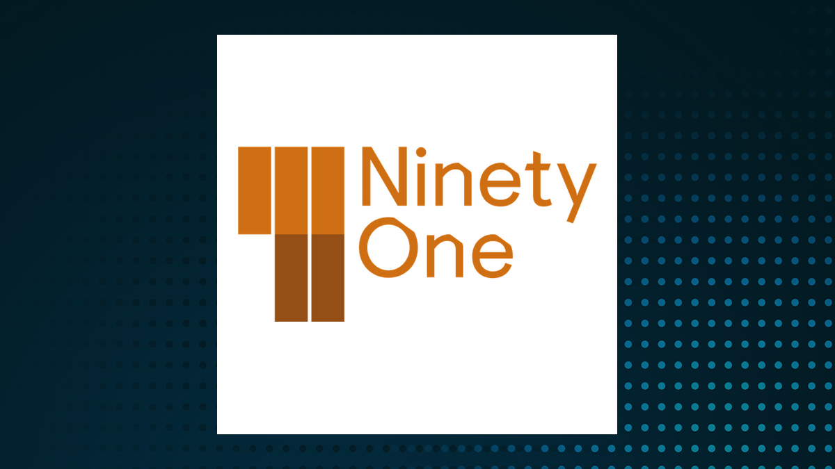 Ninety One Group logo