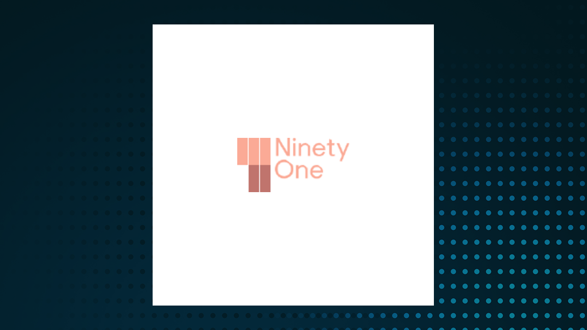 Ninety One Group logo