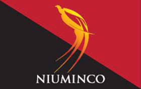 NIU stock logo