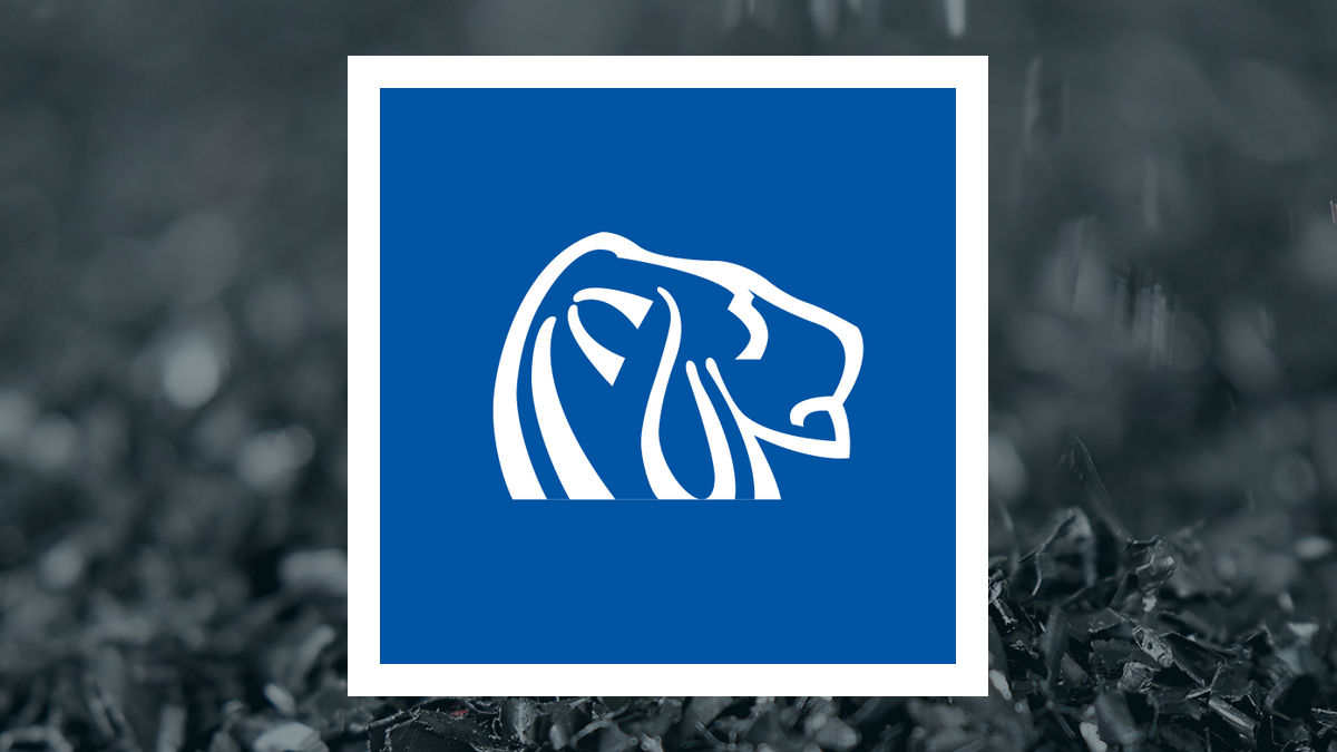Northern Dynasty Minerals logo