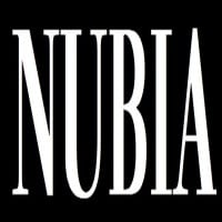 Nubia Brand International logo
