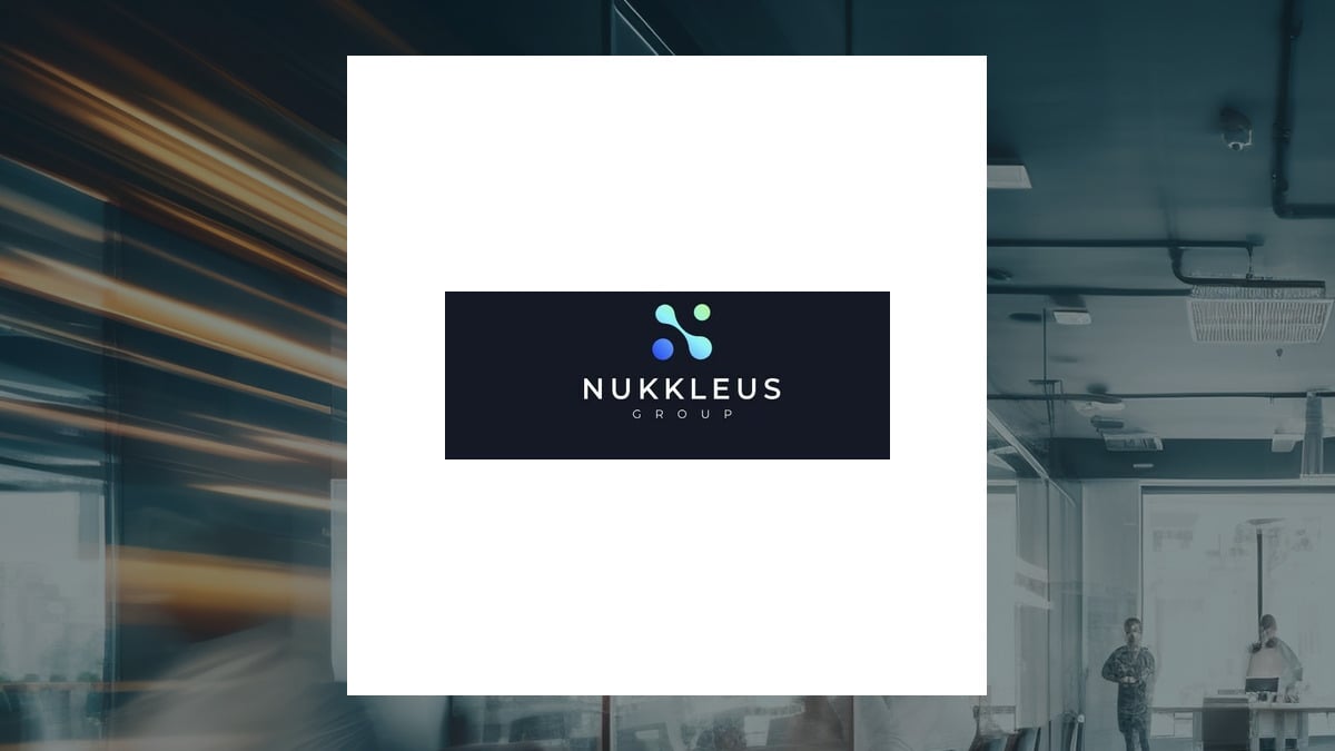 Nukkleus logo