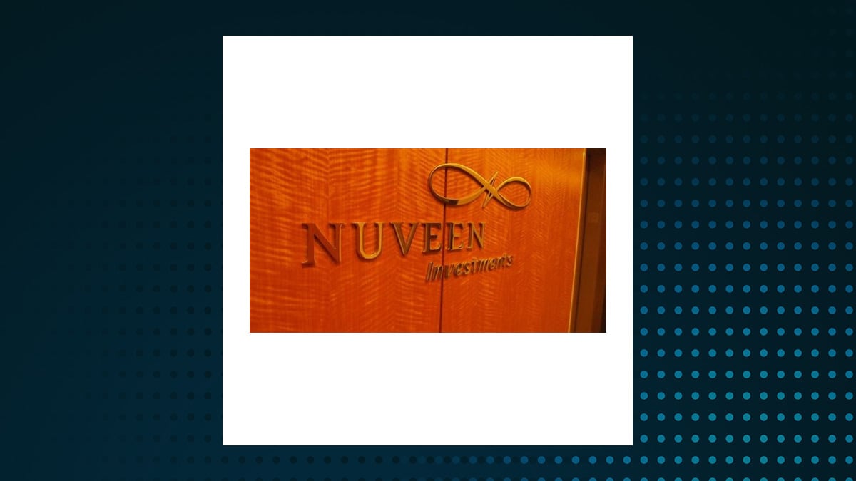 Nuveen ESG Small-Cap ETF logo