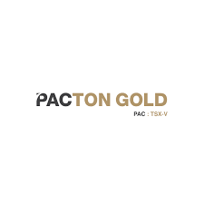Pacton Gold logo