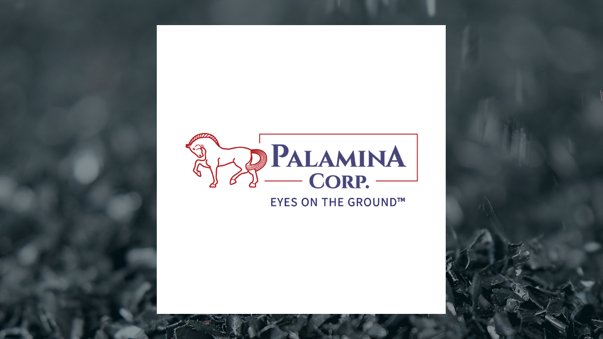 Palamina logo