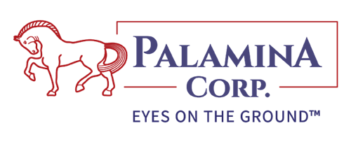 Palamina logo