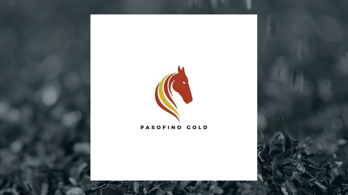 Pasofino Gold logo