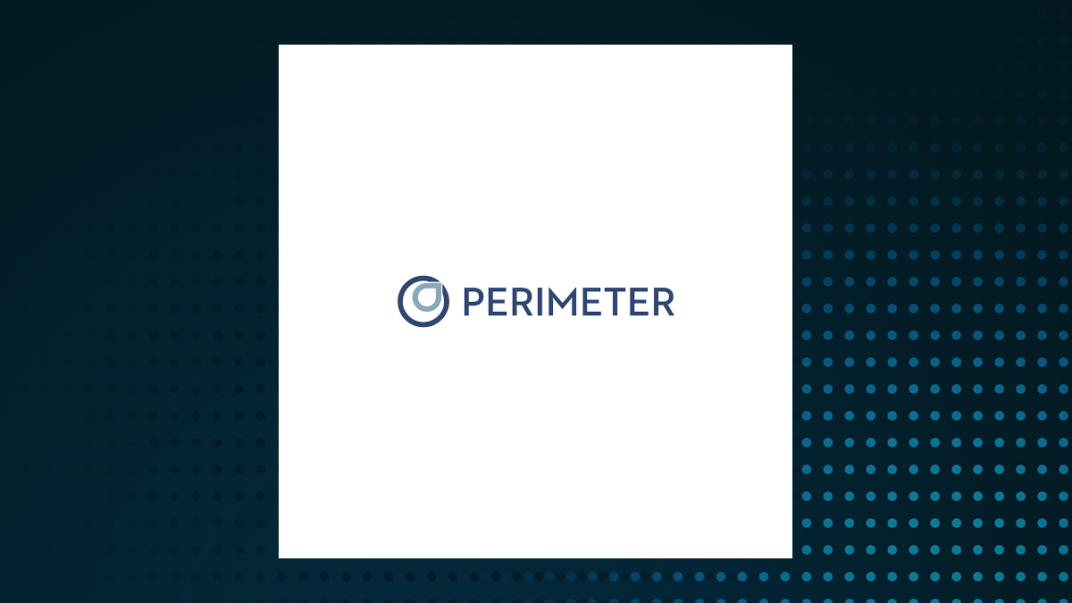 Perimeter Medical Imaging AI logo