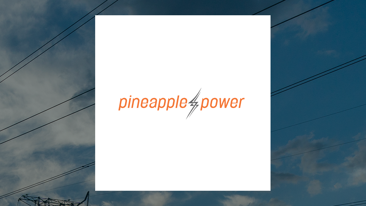 Pineapple Power logo