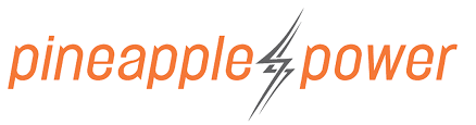 Pineapple Power (LON:PNPL) Stock Price Down 1.7% - Vimarsana News