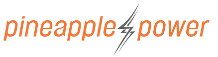 Pineapple Power logo