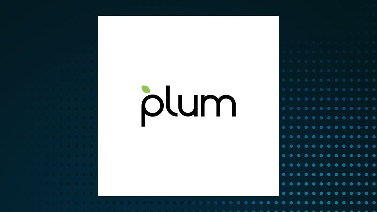 Plum Acquisition Corp. IV logo
