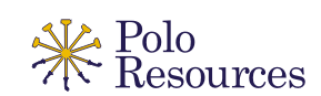 POL stock logo