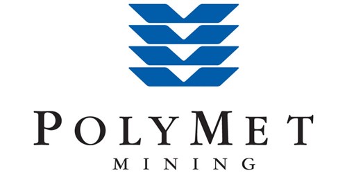 New Gold (NYSE:NGD) & PolyMet Mining (NYSE:PLM) Financial Analysis - Vimarsana News