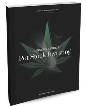 A beginner's guide to hedging pot stock investments