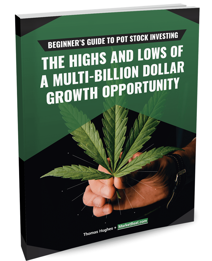 Beginner's Guide to Pot Stock Investing Cover
