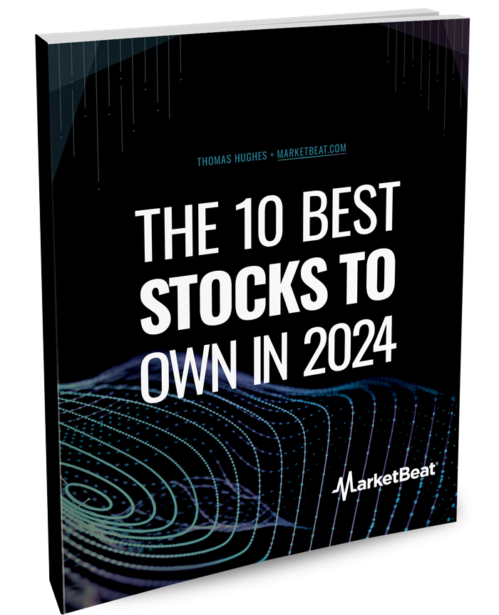 10 Best Stocks to Own in 2024