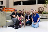 Dogs welcome: Inside MarketBeat’s dog-friendly culture and the giving it inspired