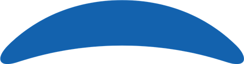 PLRG stock logo