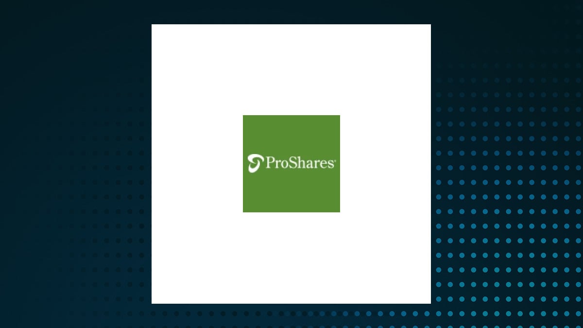 ProShares Short SmallCap600 (NYSEARCA:SBB) Sees Significant Decrease in Short Interest