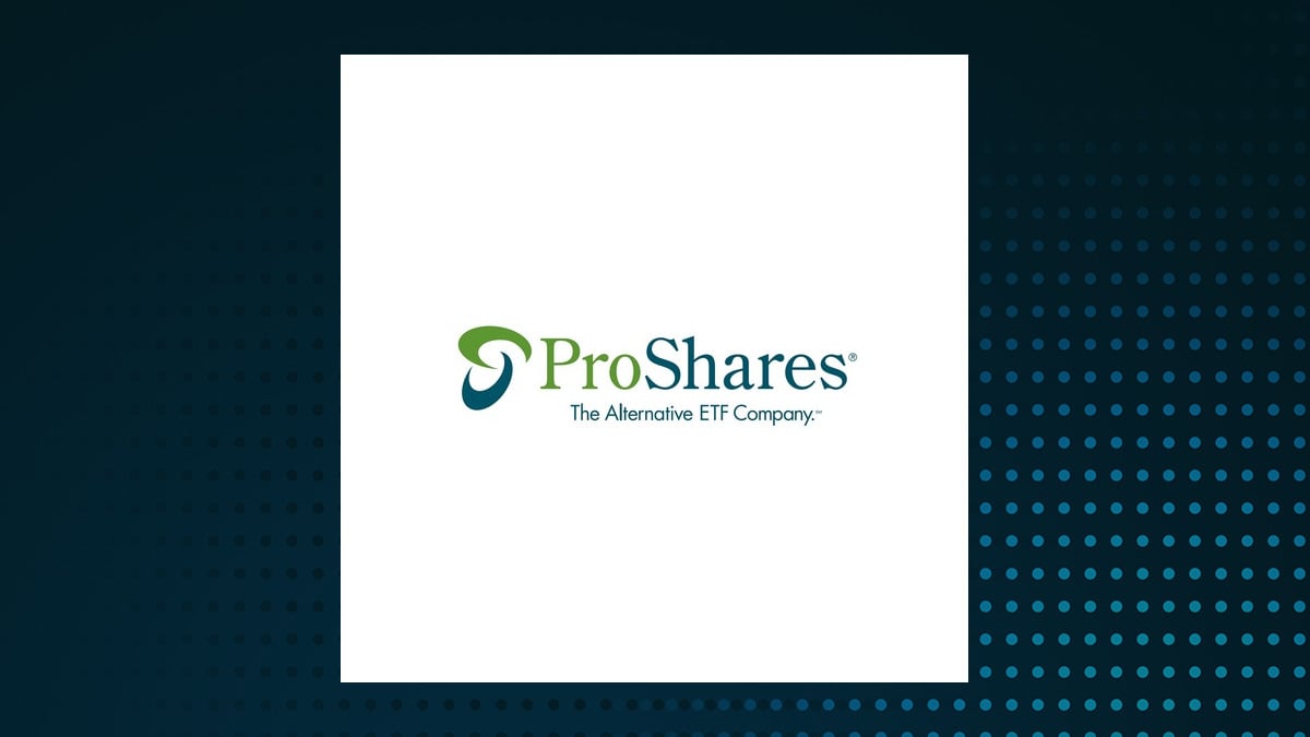 ProShares Ultra MSCI Emerging Markets logo