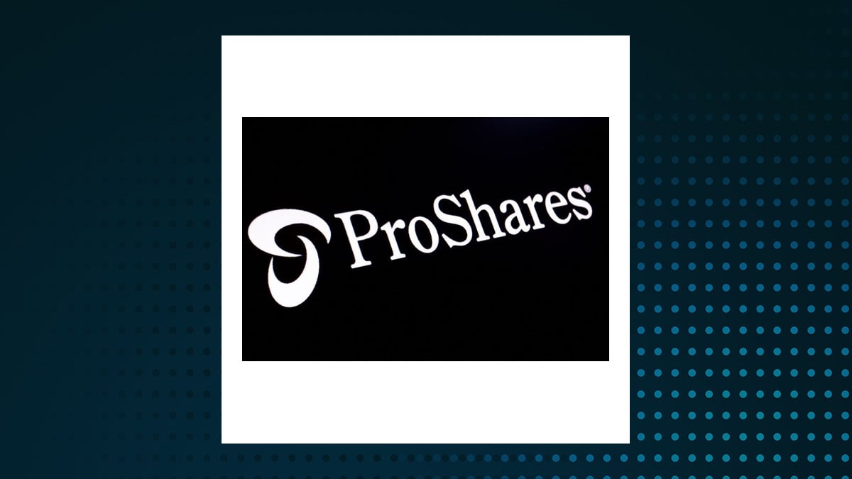 ProShares Ultra Nasdaq Cybersecurity ETF logo