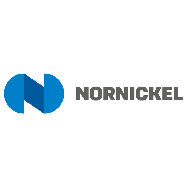 Public Joint Stock Company Mining and Metallurgical Company Norilsk Nickel logo