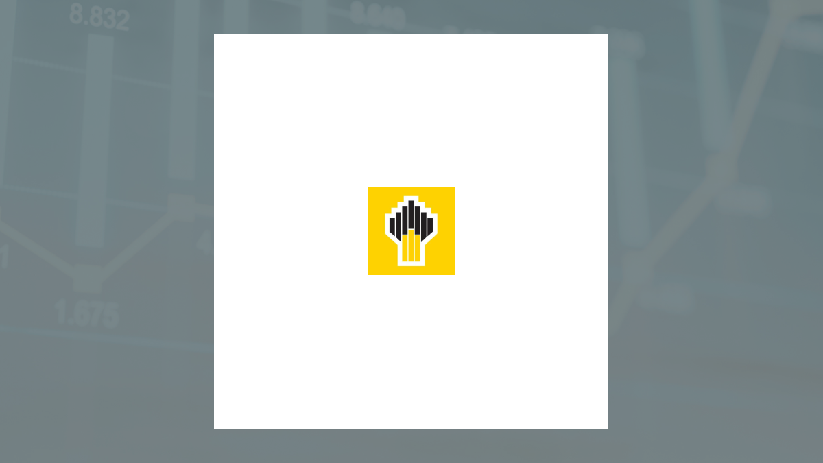 Public Joint Stock Rosneft Oil logo