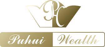 Puhui Wealth Investment Management (NASDAQ:PHCF) Shares Up 329,900% - Vimarsana News