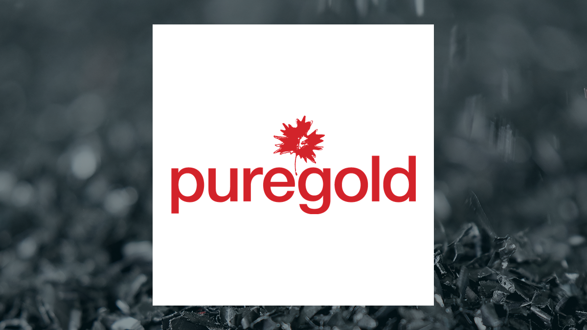 Pure Gold Mining logo