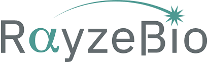 RYZB stock logo