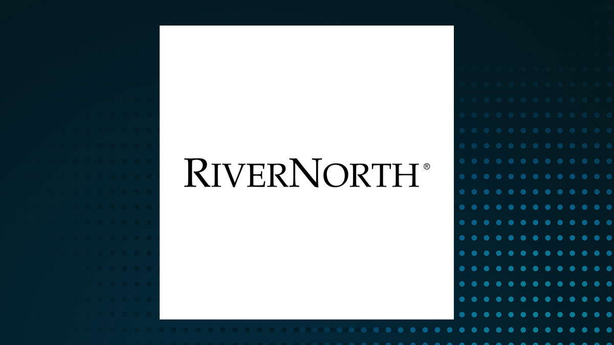 RiverNorth Capital and Income Fund logo