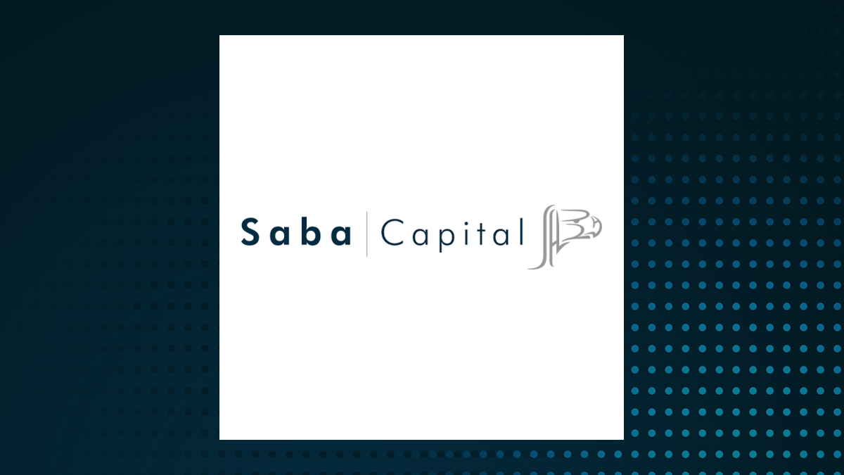 Saba Capital Income & Opportunities Fund logo