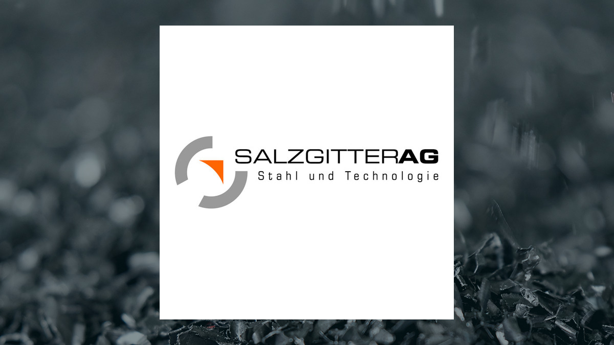 Salzgitter logo