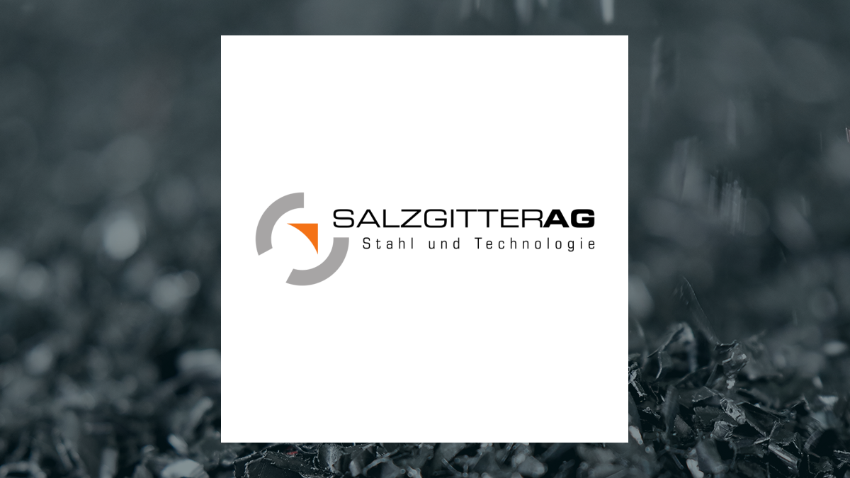 Salzgitter logo