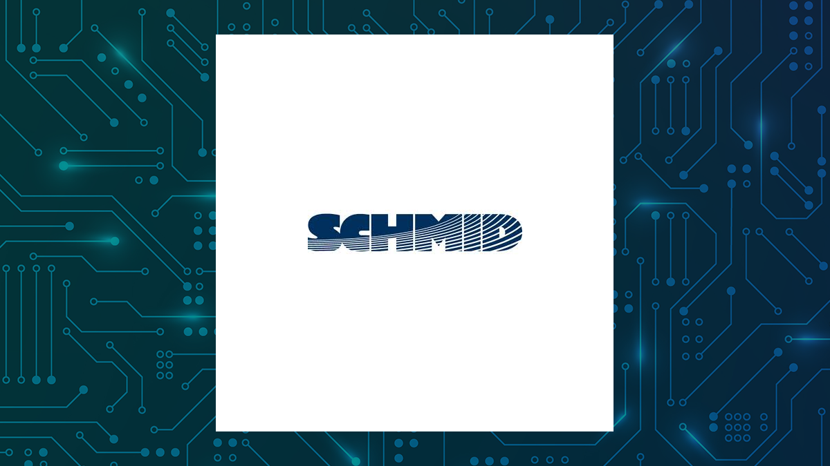 SCHMID Group logo