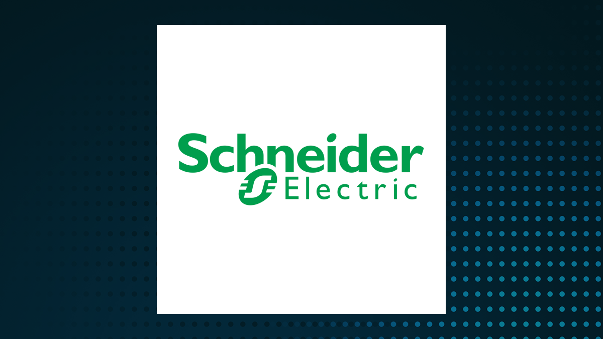 Schneider Electric S.E. logo