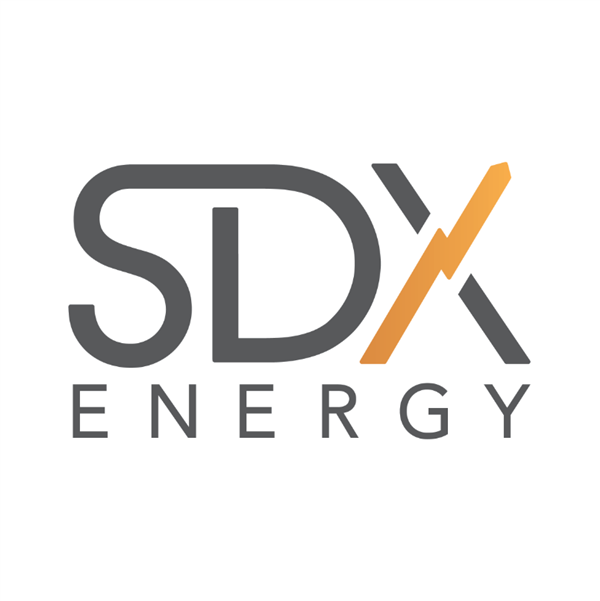 SDX stock logo