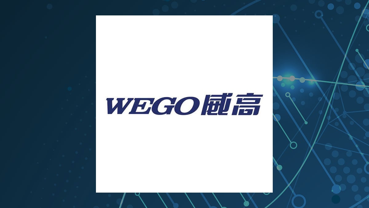 Shandong Weigao Group Medical Polymer logo
