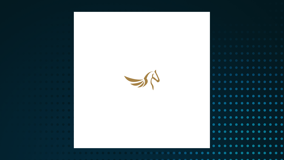 Silver Pegasus Acquisition logo