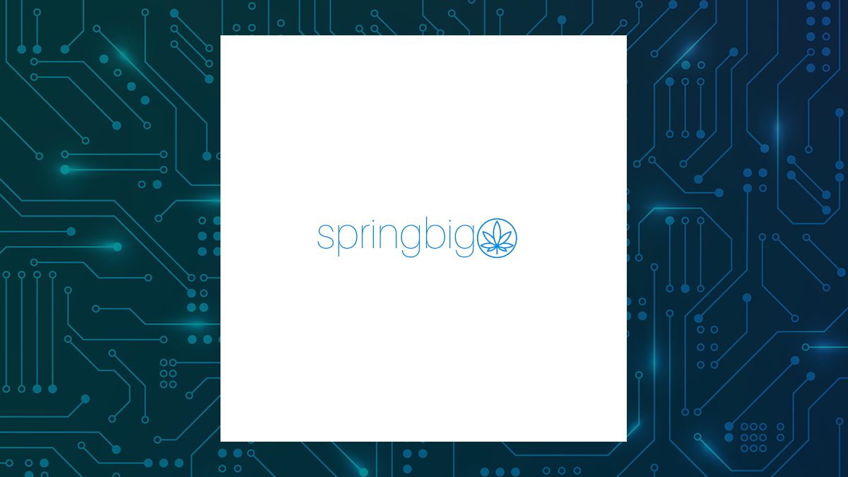 SpringBig logo