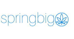 SpringBig Holdings, Inc. logo