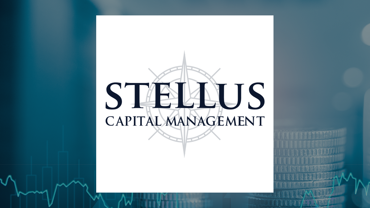 Stellus Capital Investment logo