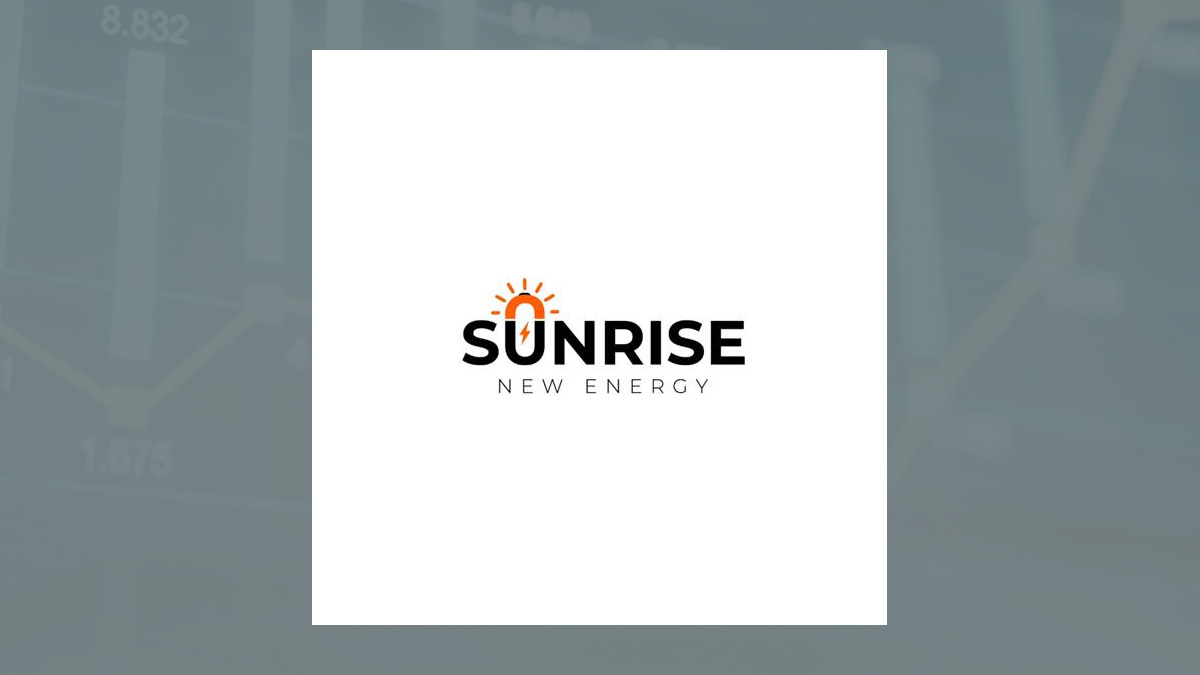 Sunrise New Energy logo