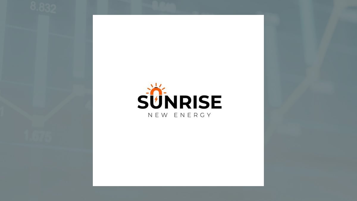 Sunrise New Energy logo